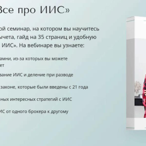 Все про ИИС (Александра Вальд)