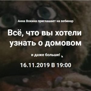 Домовой – что это? (Анна Вокина)