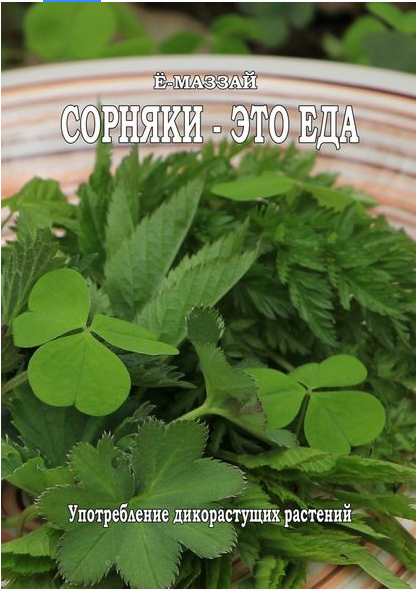 Сорняки это еда! (Валерий Коршунов)
