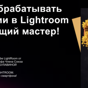 Lightroom (Дарья Булавина)