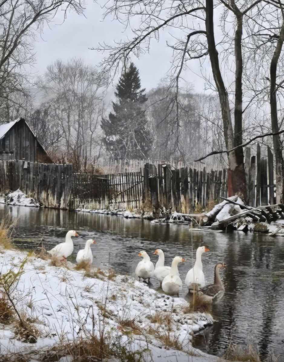Рождественские гуси (Ольга Базанова)